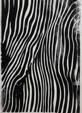 Abstract Black And White Flowing Lines Ink Landscape Minimalist Poster Print Wall Art Pictures Canvas Painting Room Home Decor