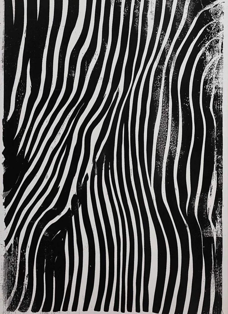 Abstract Black And White Flowing Lines Ink Landscape Minimalist Poster Print Wall Art Pictures Canvas Painting Room Home Decor